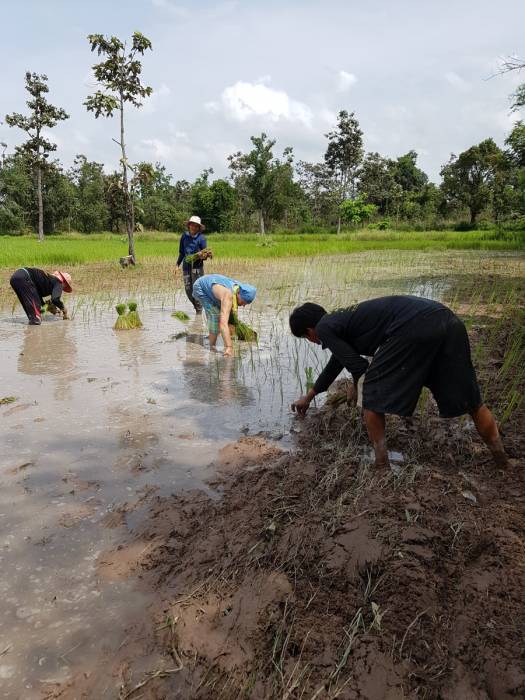 16_20170801_141759.jpg 16_20170801_141759.jpg